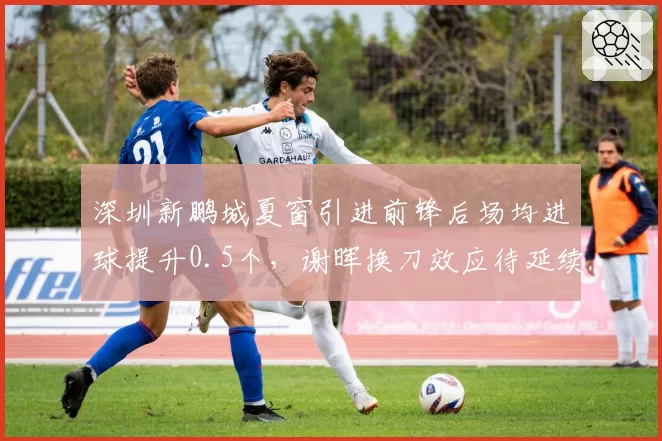 深圳新鹏城夏窗引进前锋后场均进球提升0.5个,谢晖换刀效应待延续
