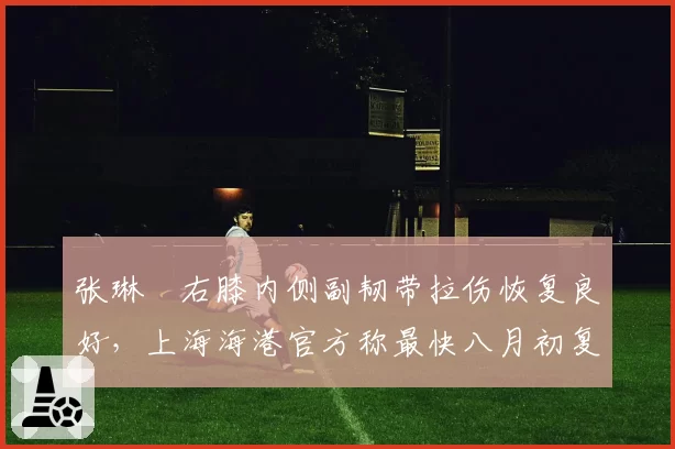 张琳芃右膝内侧副韧带拉伤恢复良好，上海海港官方称最快八月初复出